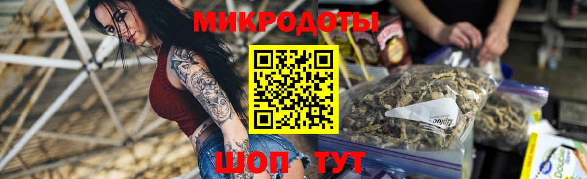 Балашиха  Галлюциногенные грибы ЛСД  Галлюциногенные грибы GOLDEN TEACHER  купить наркотик  Вход с VPN 